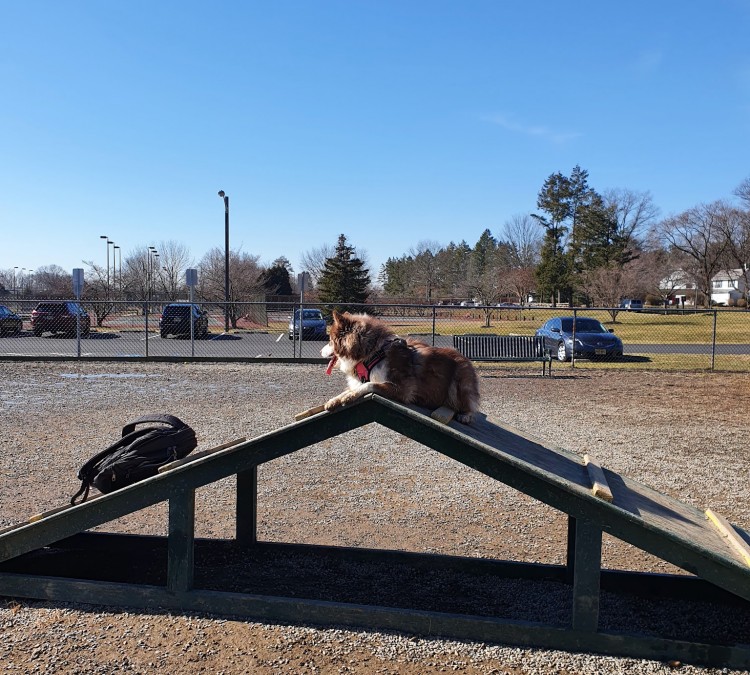 Hamilton Dog park (Trenton,&nbspNJ)